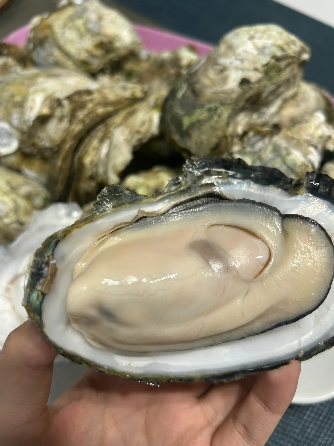 1772866744 485 6 mon ngon moc mac khien dan sanh an Viet