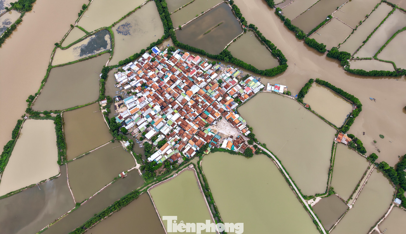 'Ốc đảo cô đơn' hình cánh diều gây sốt ở Khánh Hòa- Ảnh 4.