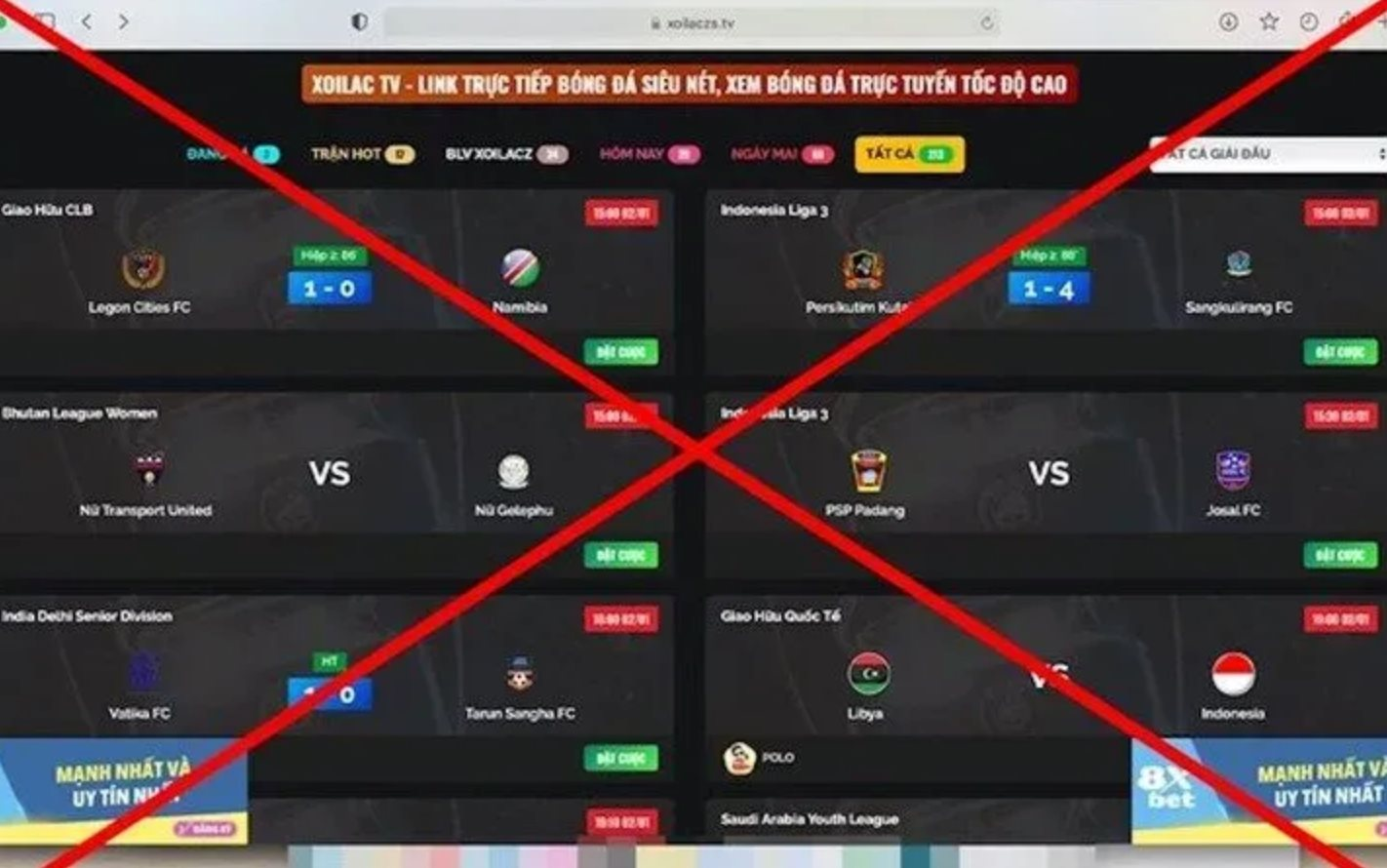 Xem phim 'lậu' - Câu chuyện không của riêng quốc gia nào: Thế giới xử lý ra sao?- Ảnh 2.