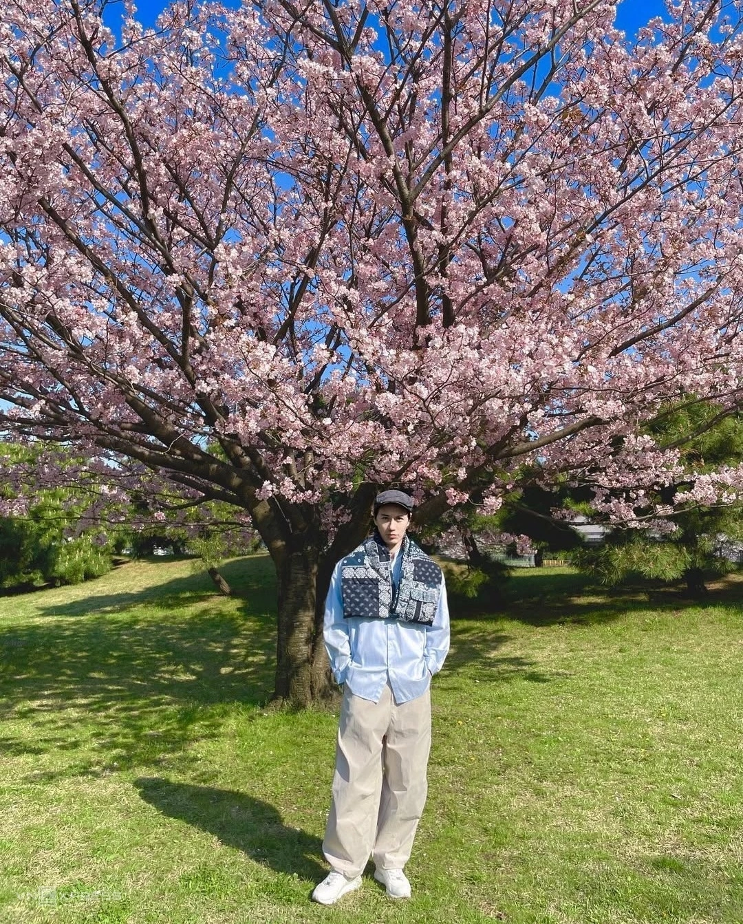 Hình thể như thanh niên của người mẫu 60 tuổi - 16