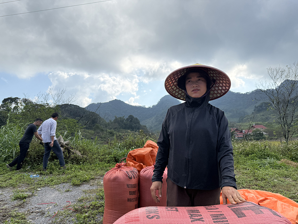 Chặt cành búp tím, bỏ quên Pà Cò- Ảnh 6.