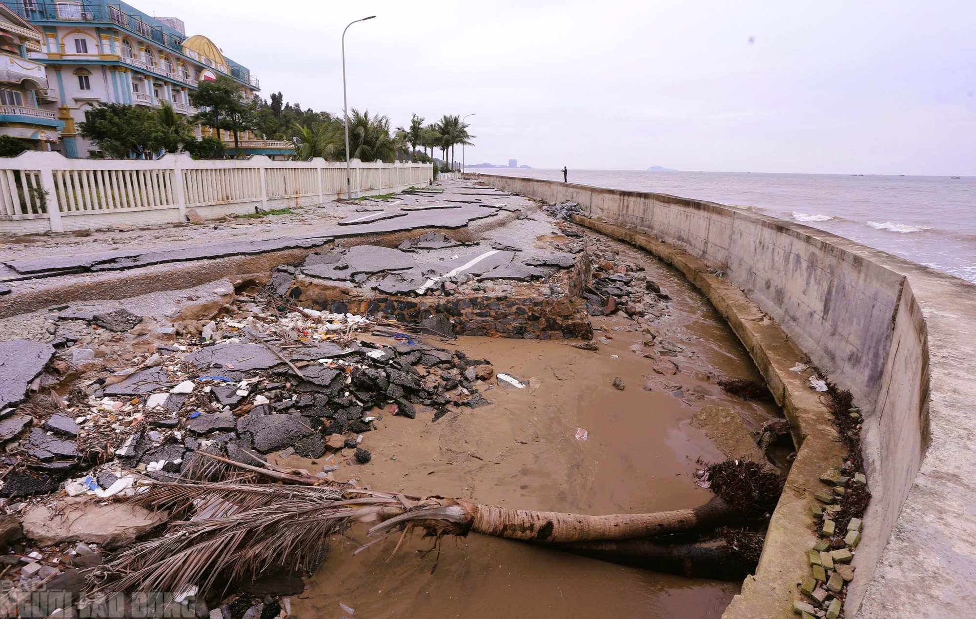 Sắp vào hè, bãi biển nổi tiếng ở Thanh Hóa vẫn tang hoang - Ảnh 2.