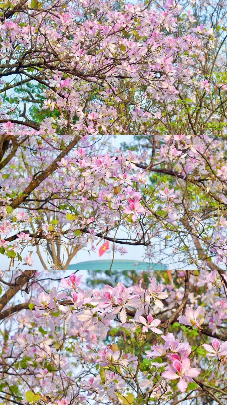 Nguồn: FB Trn V Chung