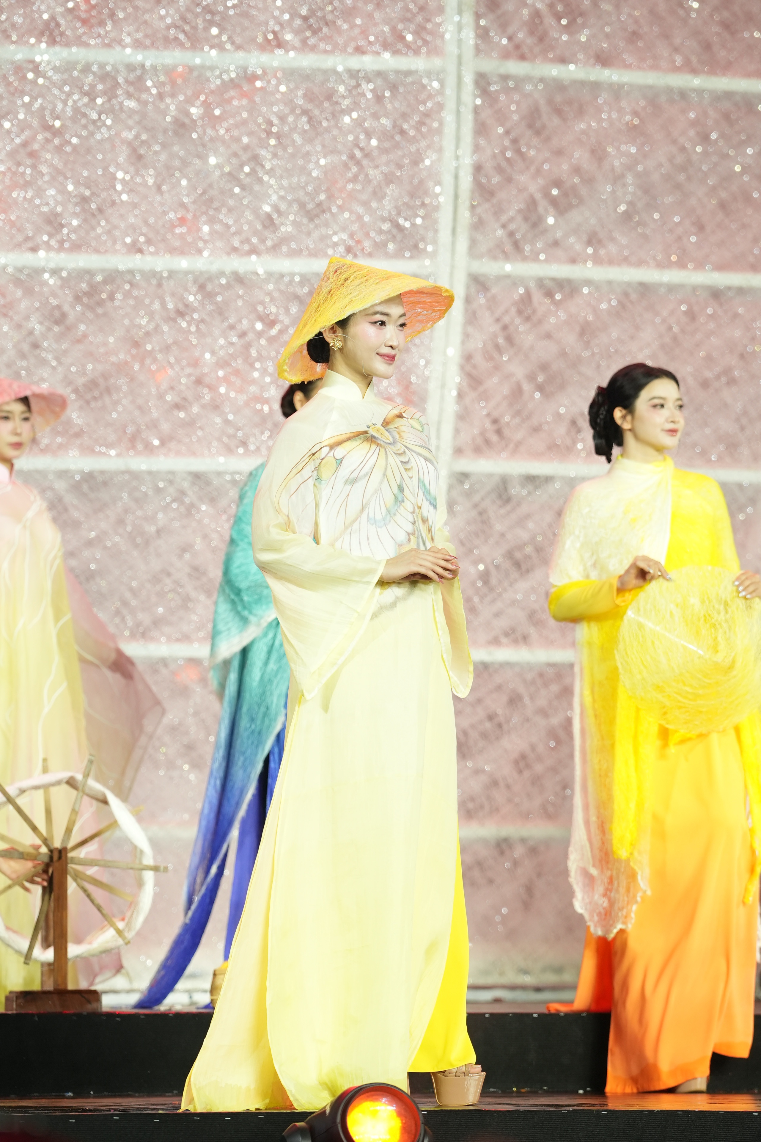 Mỹ nhân Việt và quốc tế khoe sắc, kể chuyện thời trang bền vững bằng áo dài- Ảnh 5.