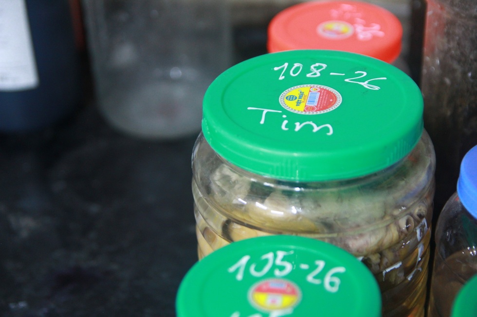 Bóng hồng ngành pháp y kể chuyện nghề phía sau những bản kết luận - 3