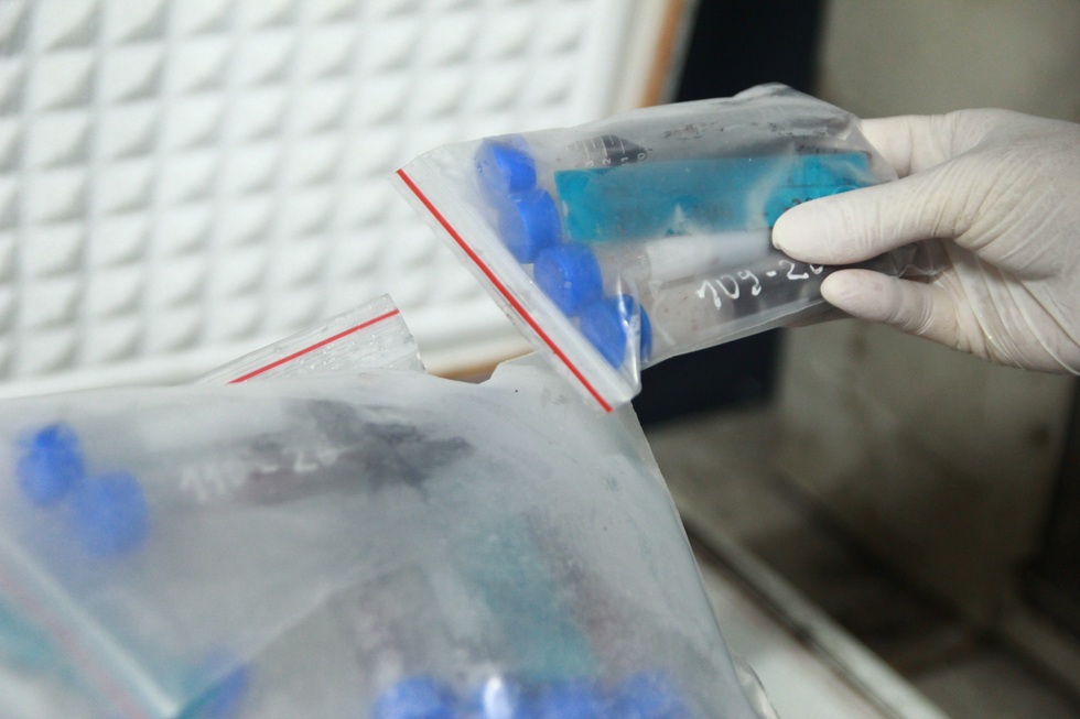 Bóng hồng ngành pháp y kể chuyện nghề phía sau những bản kết luận - 4