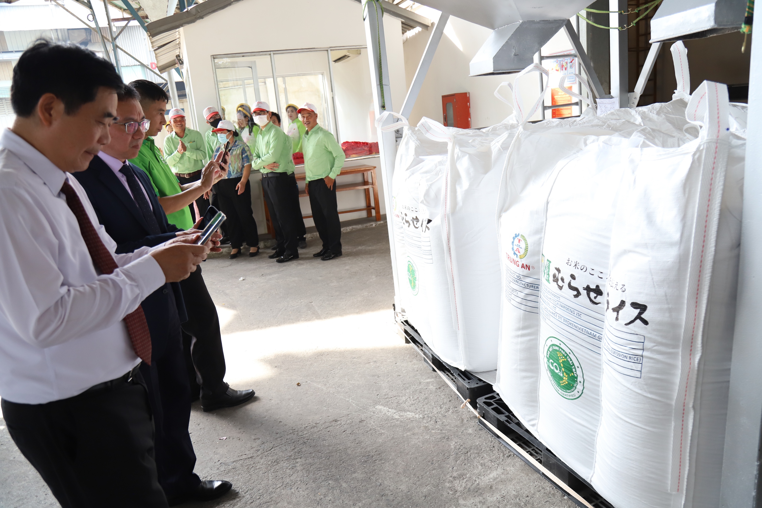 Lúa chất lượng cao - Ảnh 2.