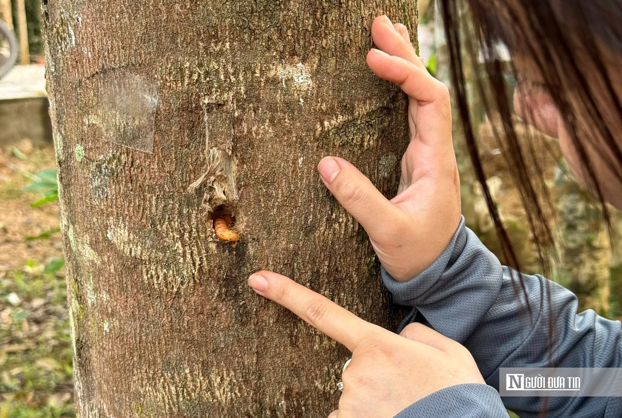 Cô gái trẻ từ bỏ phố thị xa hoa, trở về quê khởi nghiệp với nghề truyền thống- Ảnh 2.