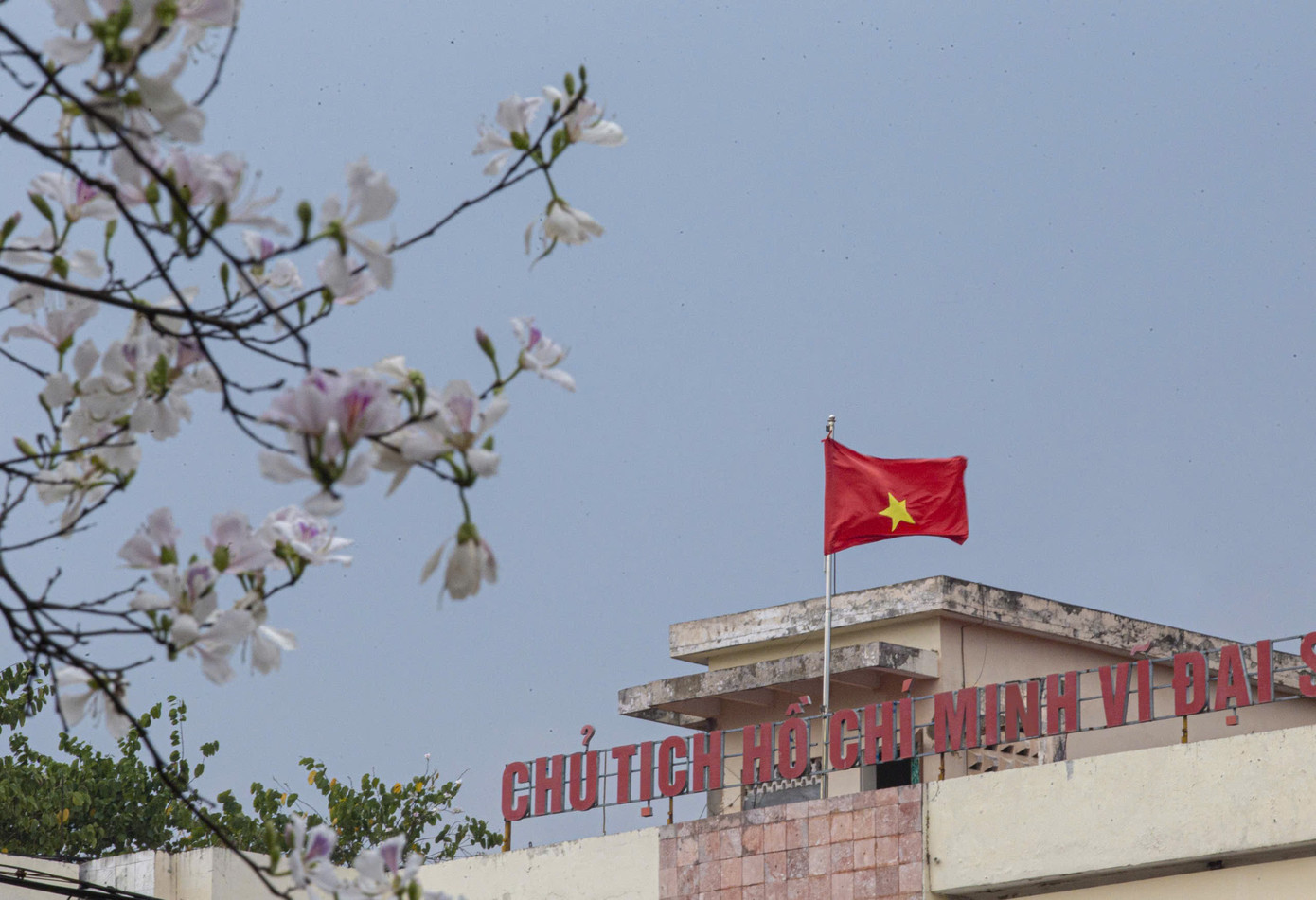 Hoa ban bung nở ngập tràn Điện Biên- Ảnh 2.