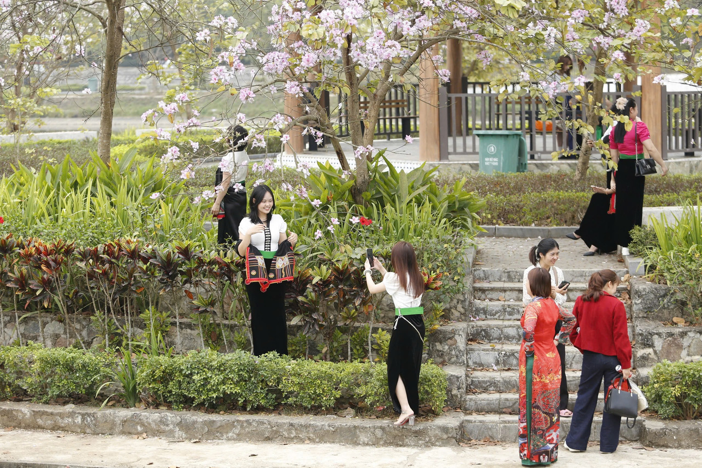 Hoa ban bung nở ngập tràn Điện Biên- Ảnh 15.