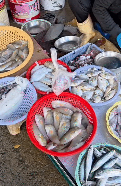 15 năm ở Hà Nội, chuyển vào Nha Trang sống: Mẹ 1 con nói thật về chi phí và giấc mơ “đổi thành phố”- Ảnh 5.