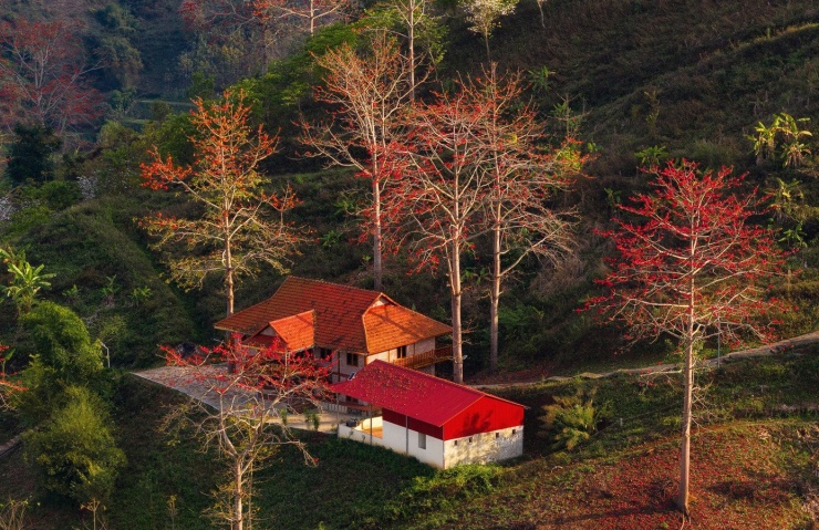 Bởi giữ hoa gạo cũng chính là giữ ký ức làng bản, giữ một mảng màu không thể thay thế trong bức tranh văn hóa Sơn La. Khi địa phương quyết tâm phát triển du lịch xanh, nông nghiệp sinh thái và kinh tế bản địa, những giá trị tự nhiên như hoa gạo cần được nhìn nhận như một tài sản, chứ không chỉ là vật trang trí của núi rừng.