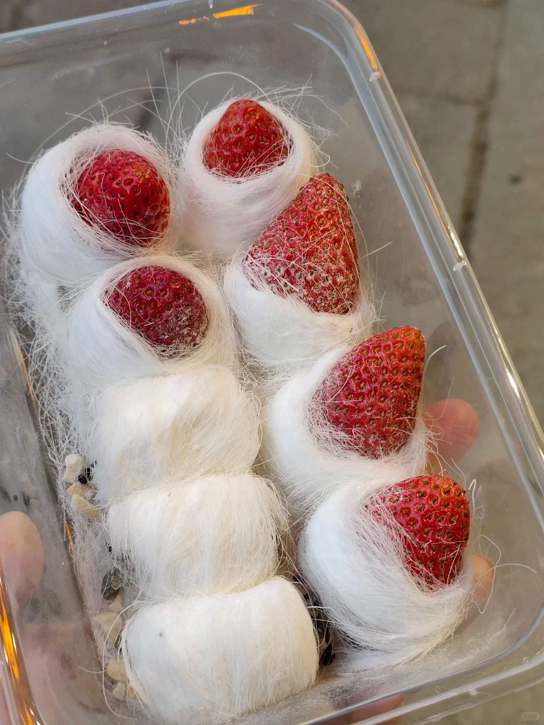 Ở vùng này có món kẹo tơ sen lạ lùng: Hóa ra lại là thức quà tuổi thơ lớn cùng bao người dân Việt!- Ảnh 10.