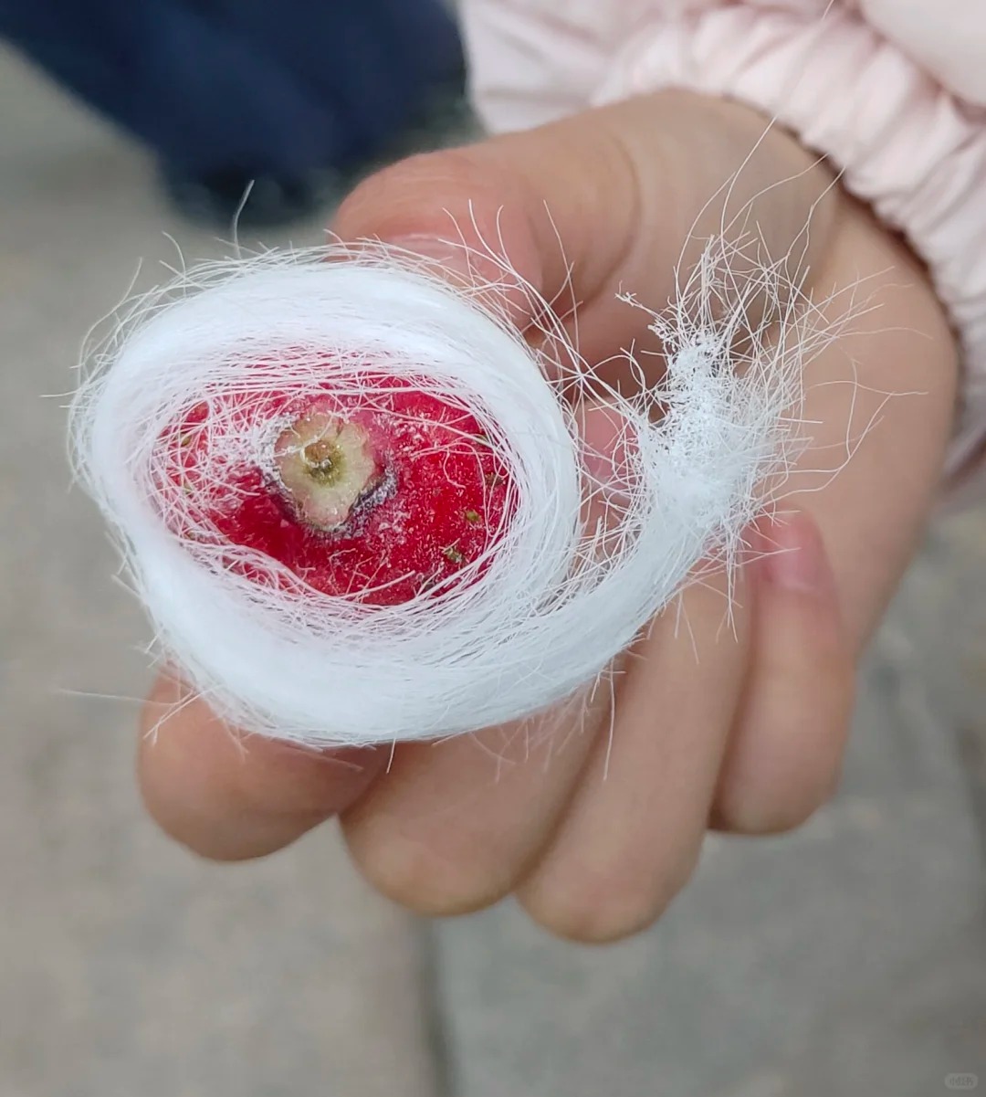 Ở vùng này có món kẹo tơ sen lạ lùng: Hóa ra lại là thức quà tuổi thơ lớn cùng bao người dân Việt!- Ảnh 11.