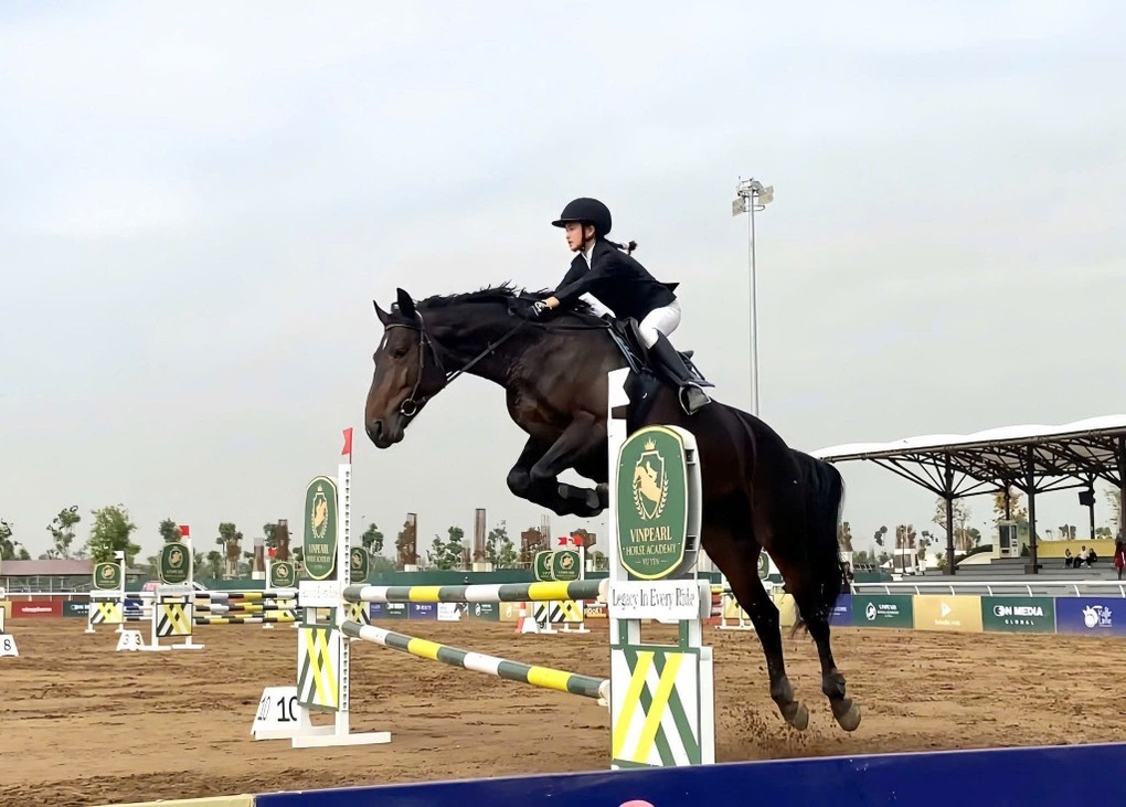 Bốn không gian hội tụ trong đô thị đảo: Lợi thế của Vinhomes Royal Island - 3