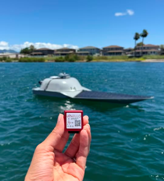 Một hiện tượng lạ xảy ra trên toàn cầu: Tính năng 