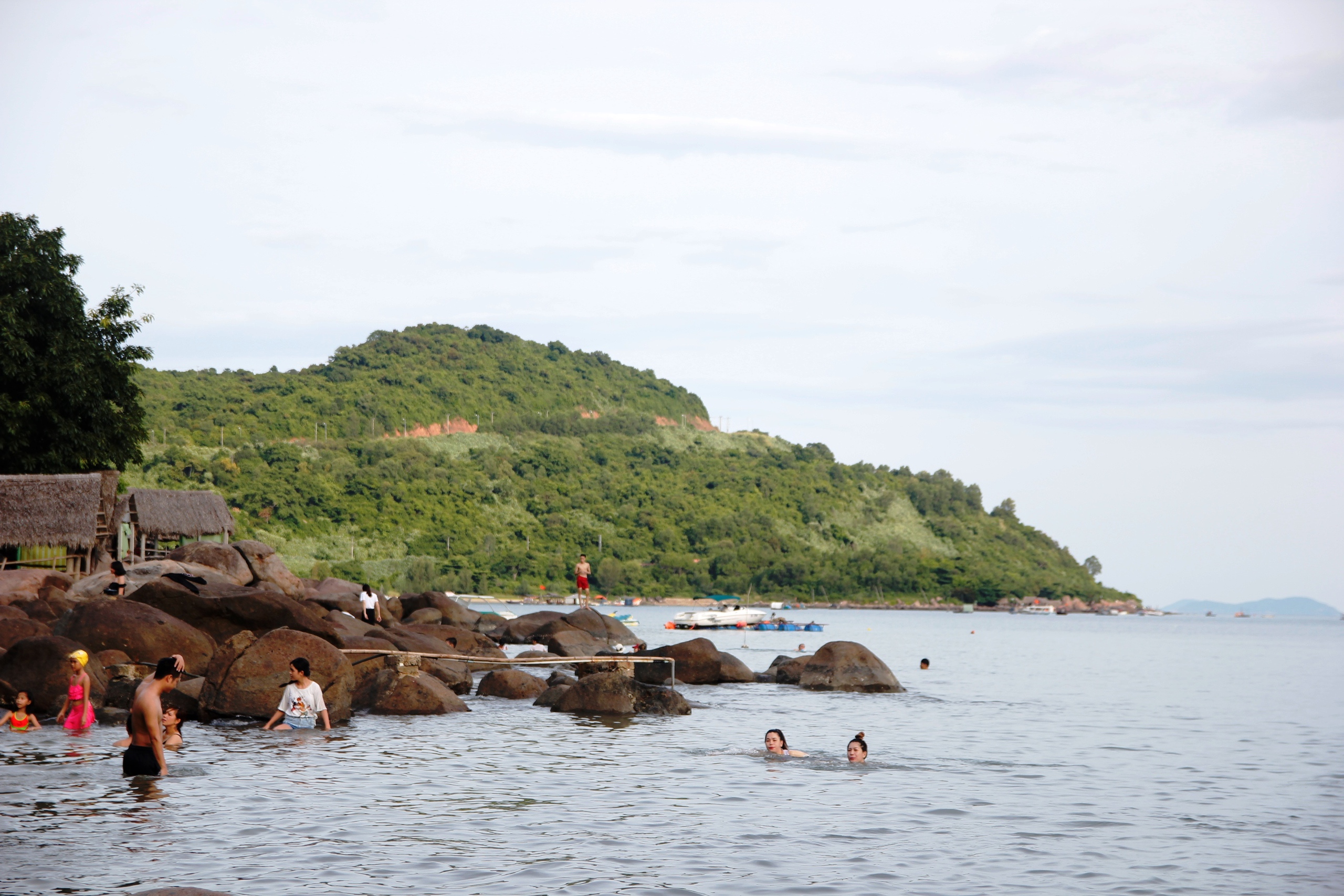 'Mắt thần Đông Dương' và hải đăng Sơn Trà đi vào logo một phường ở Đà Nẵng- Ảnh 3.