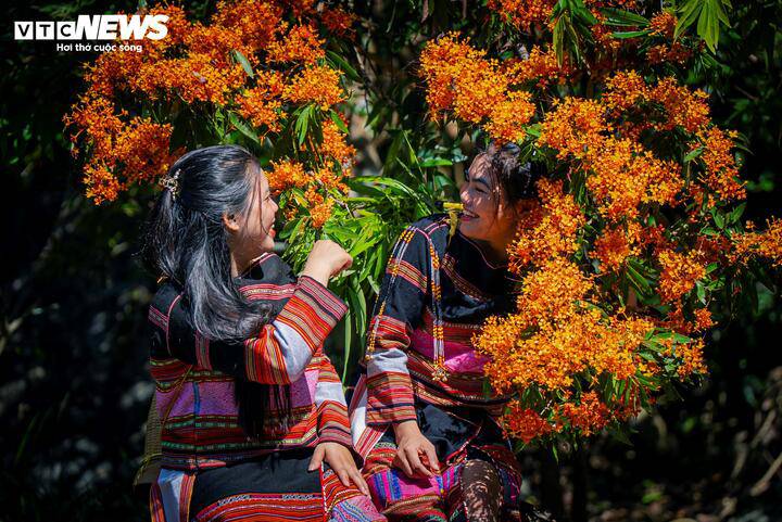 Hoa trang rừng nở rộ - nàng thơ của đại ngàn Gia Lai thức giấc 12 Mùa hoa trang rừng Tà Má không chỉ là món quà của thiên nhiên mà còn là biểu tượng cho sức sống mãnh liệt của vùng đất đại ngàn, một điểm sáng trên bản đồ Năm du lịch Quốc gia của Gia Lai. Hiện, địa phương và người dân làng Hà Ri nơi đây tích cực chuẩn bị cho ngày hội Thưởng ngoạn Hoa Trang Suối Tà Má lần thứ II, dự kiến diễn ra vào cuối tháng 3/2026.