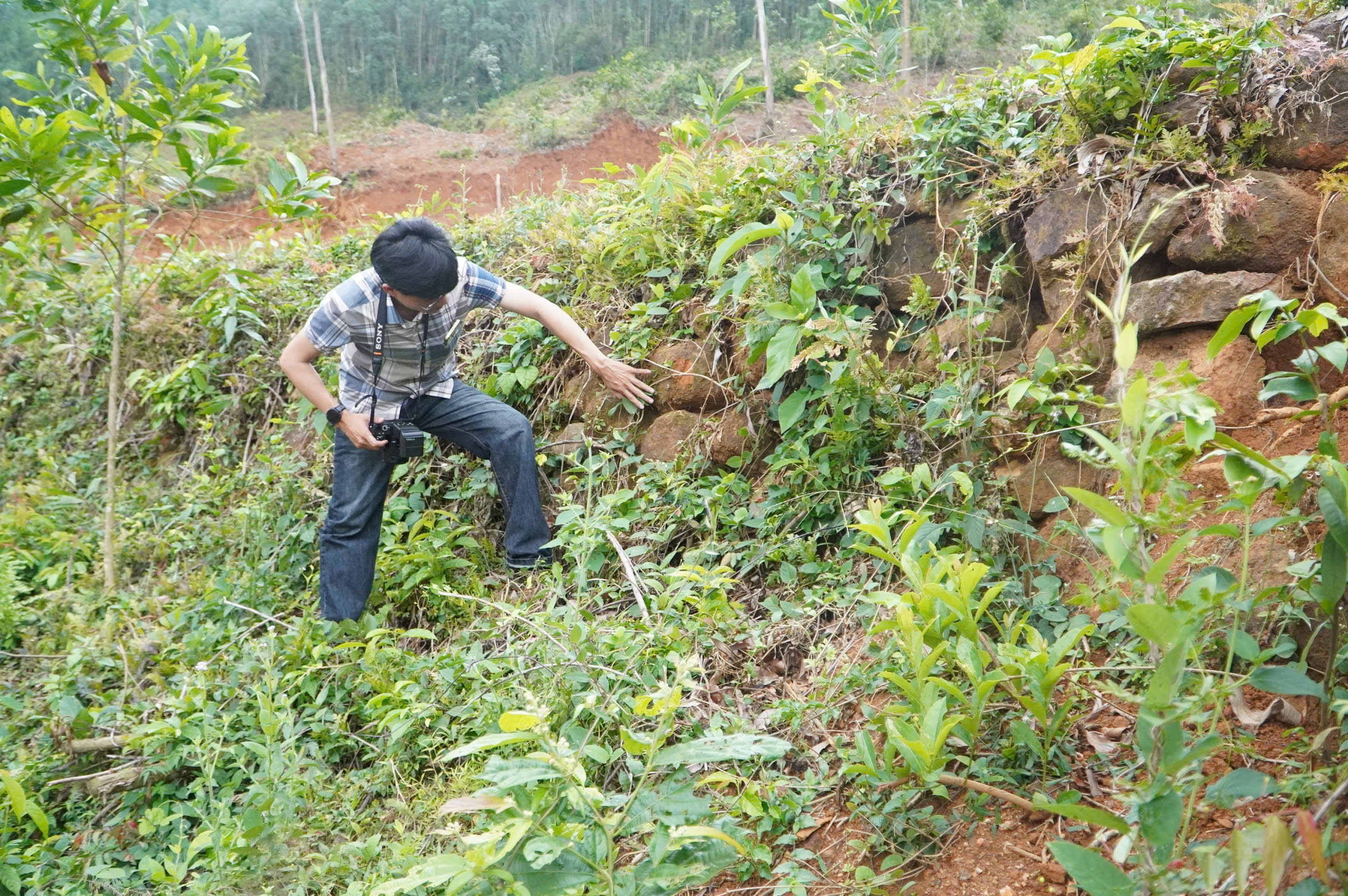 Truông Mây lưu dấu cuộc khởi nghĩa Chàng Lía 4 Di tích Truông Mây, nơi những người nông dân đứng dậy khởi nghĩa - Ảnh 4.