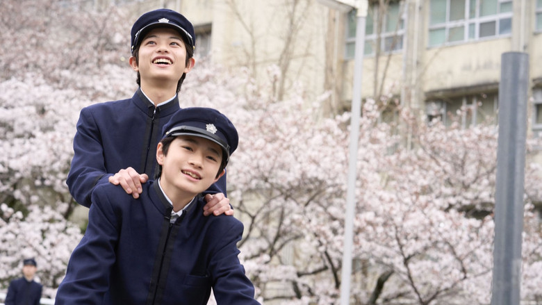 Bom tấn 3400 tỷ đang viral khắp MXH Việt: Nam chính đẹp đến ám ảnh, cả phim không chê nổi cảnh nào- Ảnh 2.