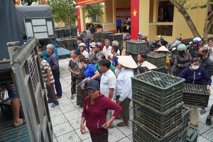 Bà con Đà Nẵng vỡ òa khi được trao hơn 8.000 con gà giống khôi phục sinh kế - Ảnh 8.