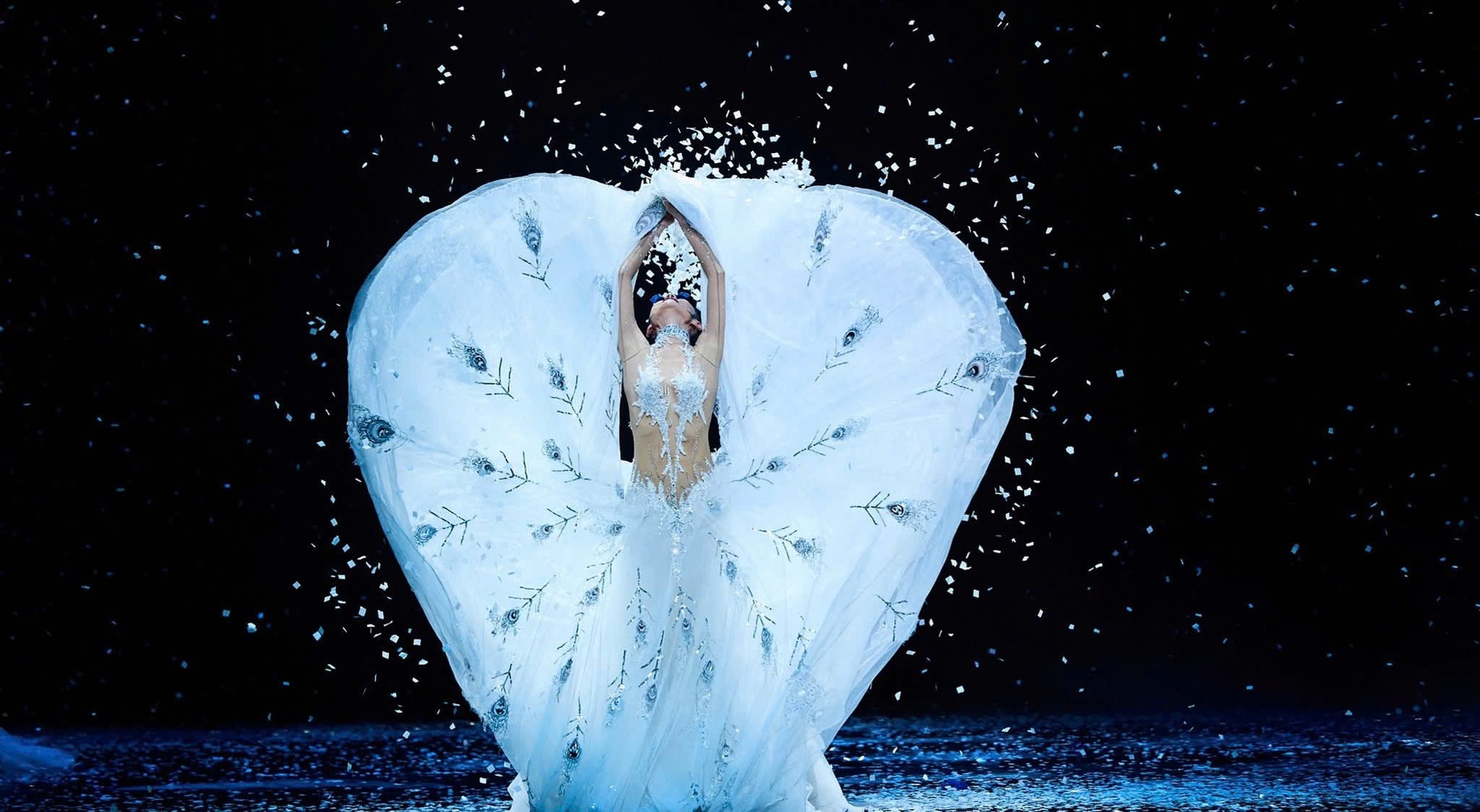 Màn vũ đạo đẹp mắt trong chương trình Khổng tước của Dương Lệ Bình - 9 Màn vũ đạo đẹp mắt trong chương trình Khổng tước của Dương Lệ Bình - 9