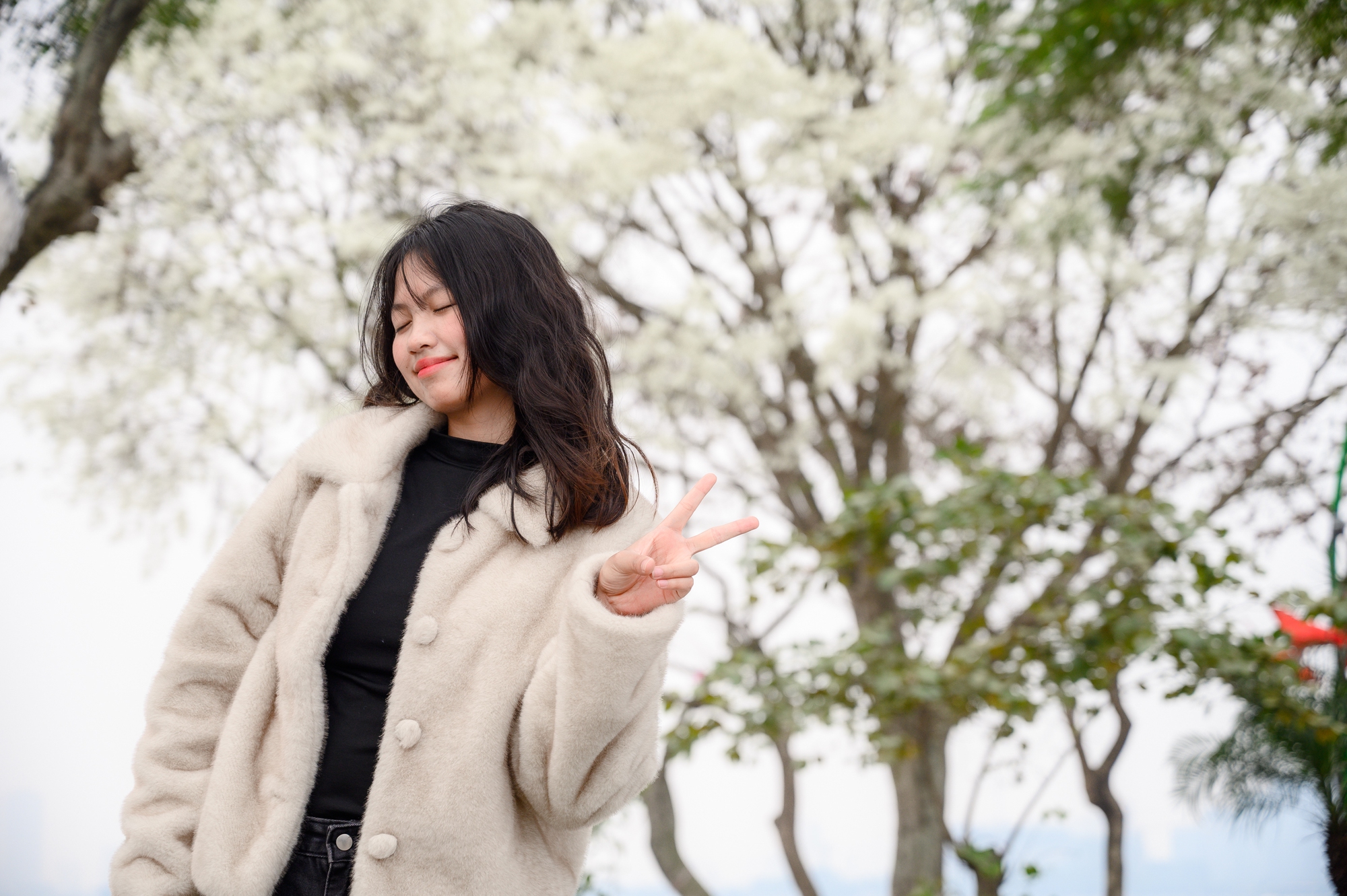 Cả Hà Nội phát sốt vì những cây hoa này: Chỗ đẹp như ngôn tình, nơi đã xác xơ - đi nhầm phí công vô ích!- Ảnh 7. Cả Hà Nội phát sốt vì những cây hoa này: Chỗ đẹp như ngôn tình, nơi đã xác xơ - đi nhầm phí công vô ích!- Ảnh 7.