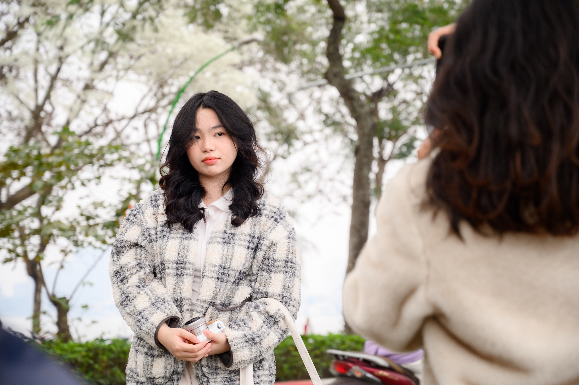 Cả Hà Nội phát sốt vì những cây hoa này: Chỗ đẹp như ngôn tình, nơi đã xác xơ - đi nhầm phí công vô ích!- Ảnh 8. Cả Hà Nội phát sốt vì những cây hoa này: Chỗ đẹp như ngôn tình, nơi đã xác xơ - đi nhầm phí công vô ích!- Ảnh 8.