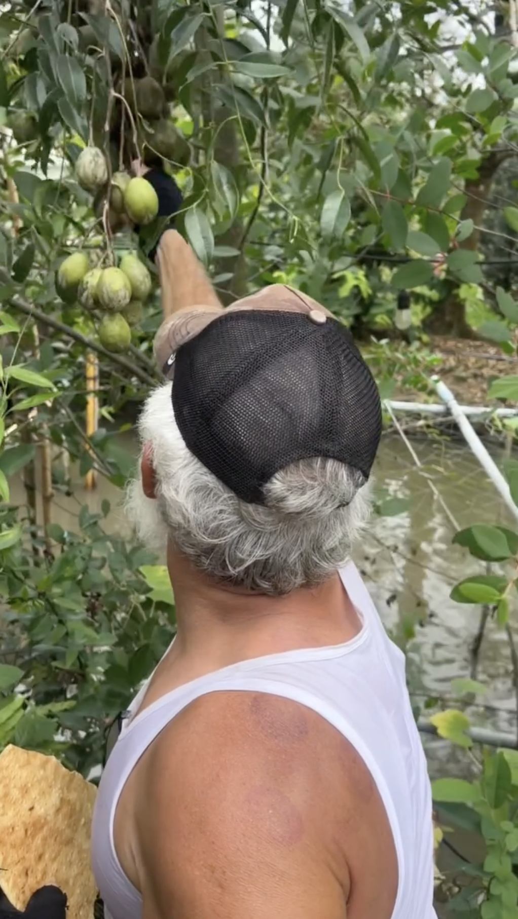 Khách Tây tấp vào nhà dân Đồng Tháp ăn uống no say rồi may đồ trả công- Ảnh 6.