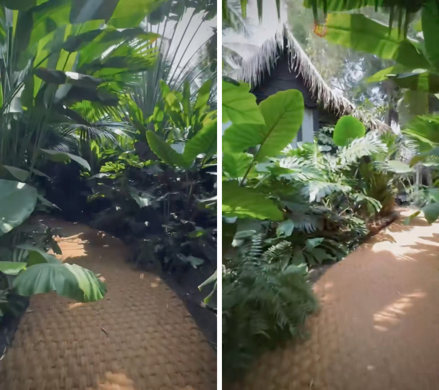 Bỏ 15 triệu lót thảm xơ dừa để khách đạp xe cho êm, chồng thiếu gia của Quỳnh Lương khiến nhiều người ngao ngán- Ảnh 3.