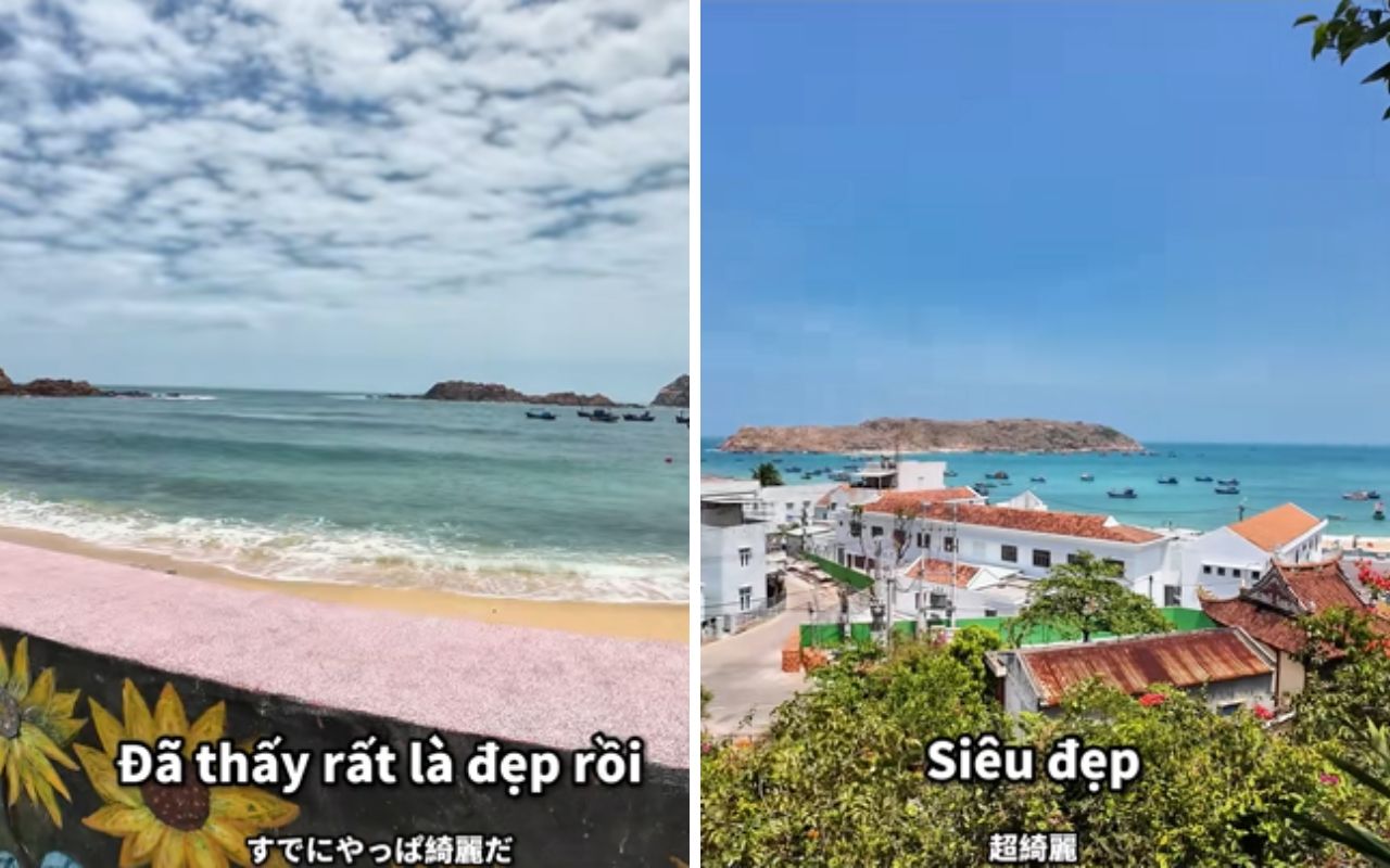 Người Nhật sở hữu 29.000km bờ biển nhưng vẫn nườm nượp sang Việt Nam tìm thứ quê nhà hiếm có- Ảnh 4.