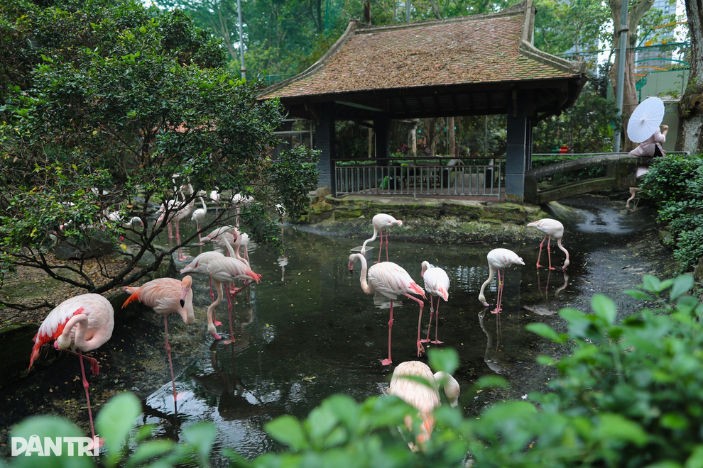 Thực hư vụ mẹ xin nước sôi pha sữa cho con ở Thảo Cầm Viên TPHCM bị từ chối - 2