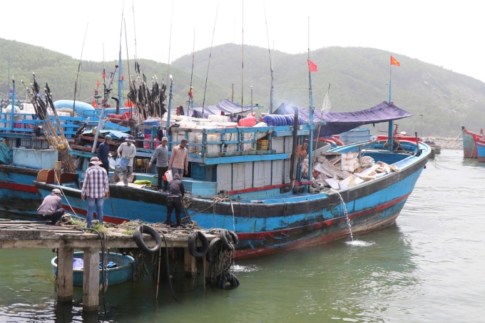 Tàu cá ở cảng Mỹ Á, Quảng Ngãi, nằm bờ chờ giá dầu giảm. Phạm Linh