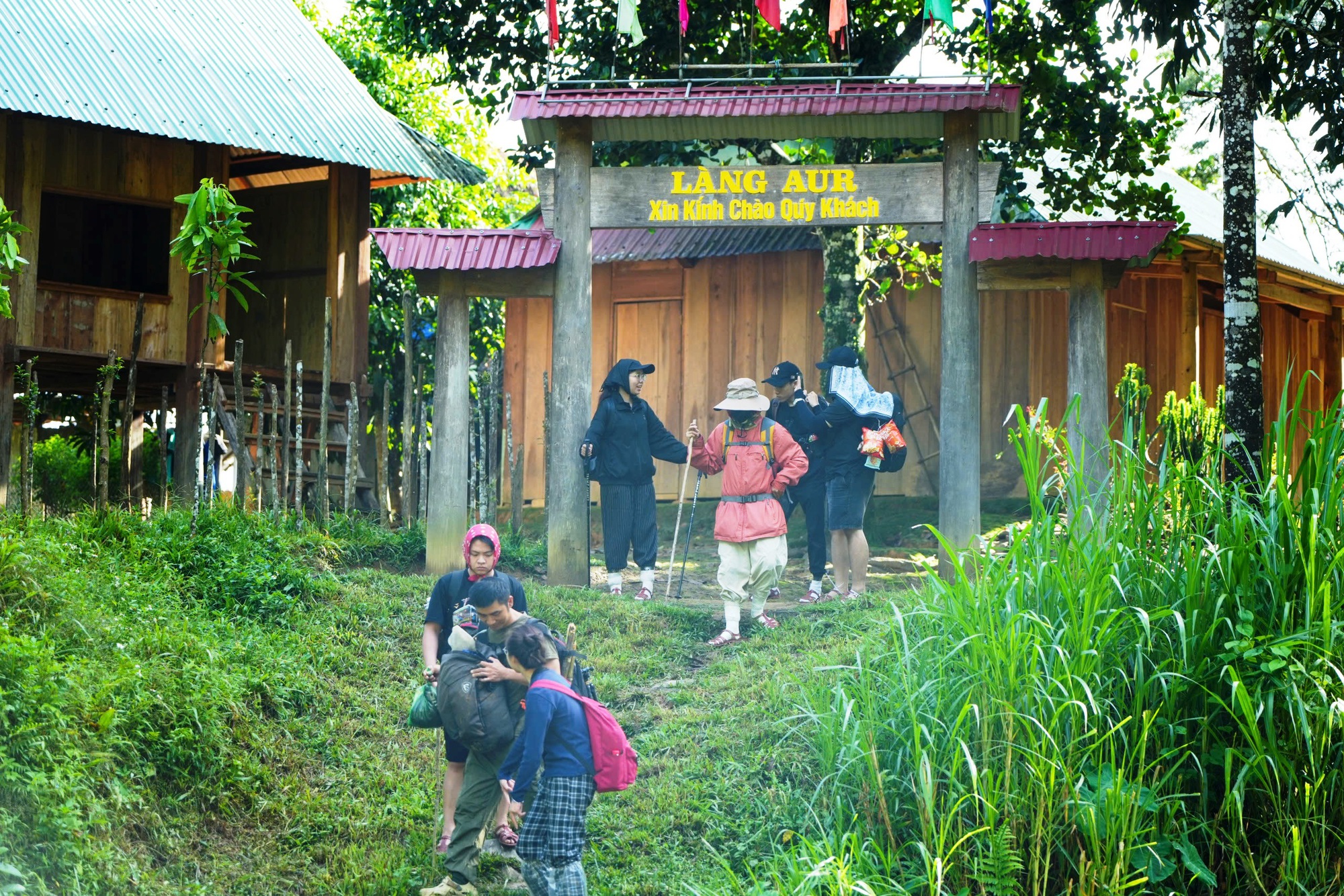 Aur bừng sáng giữa đại ngàn- Ảnh 5.