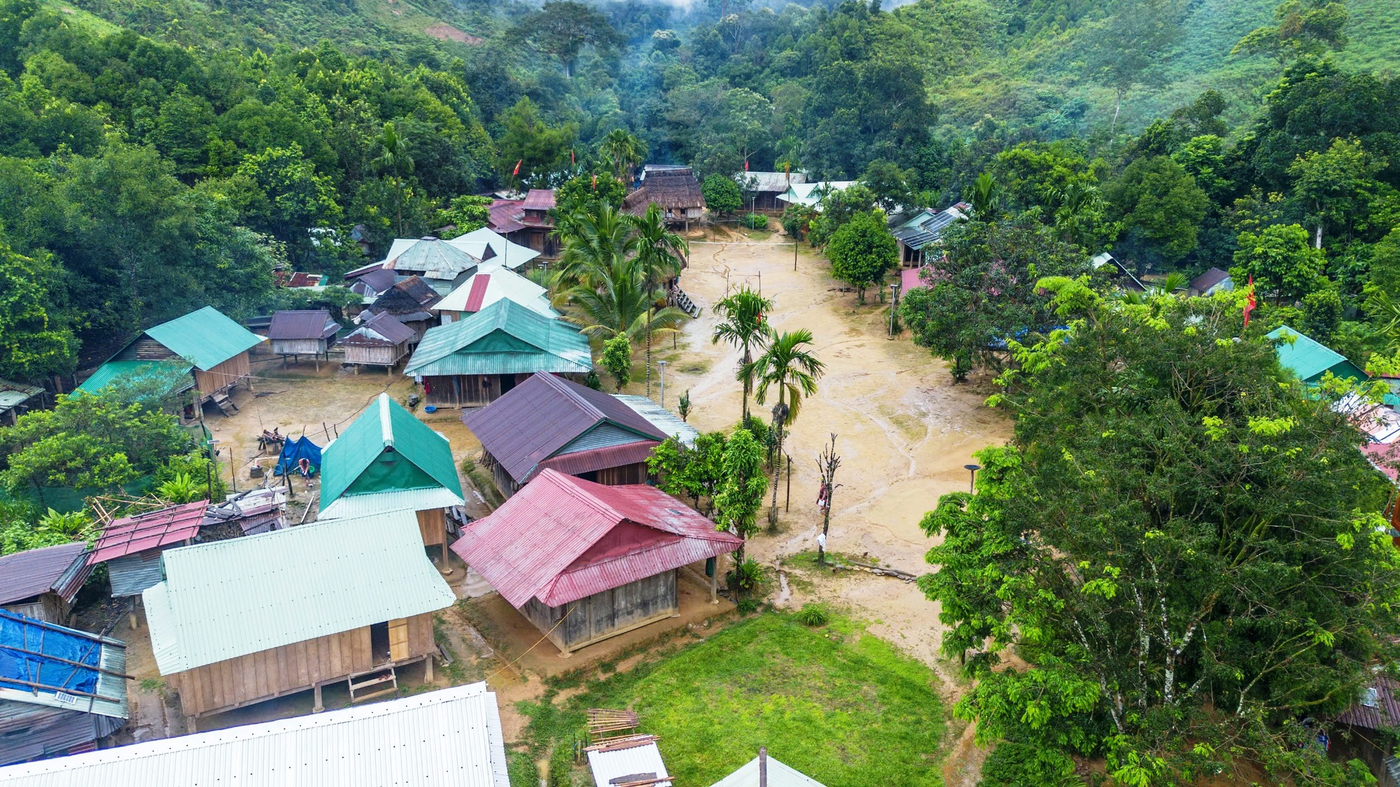 Aur bừng sáng giữa đại ngàn- Ảnh 6.