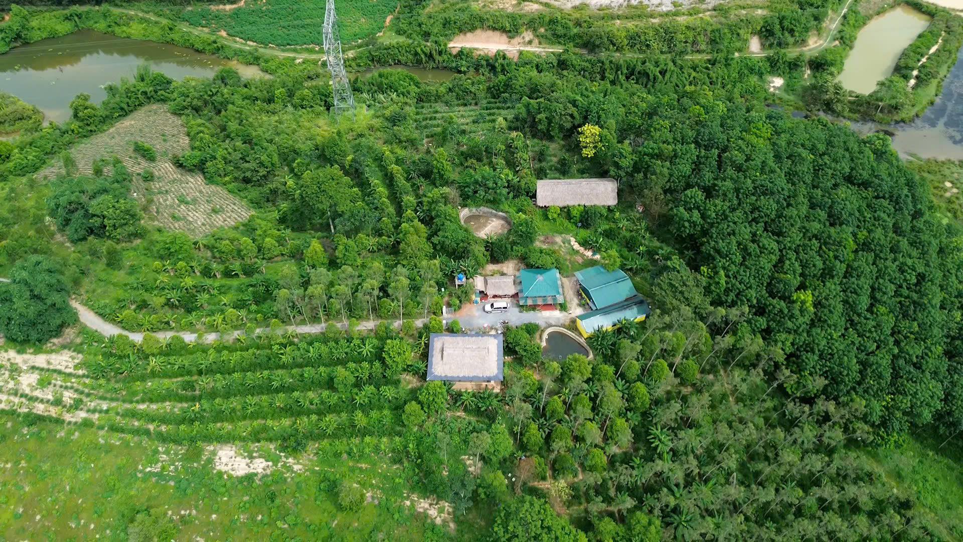 NHỮNG BÓNG HỒNG KIẾN TẠO TƯƠNG LAI: 