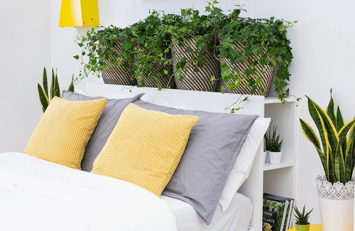 3 thứ ở đầu giường âm thầm lôi kéo tiểu nhân, dễ rước xui vào nhà- Ảnh 2.