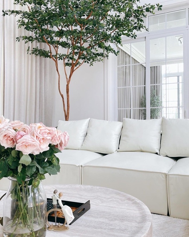 Dinh thự 8000m² đi 