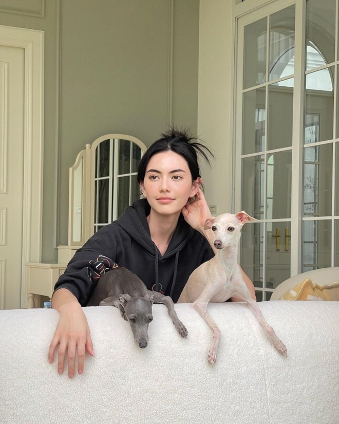 Dinh thự 8000m² đi 