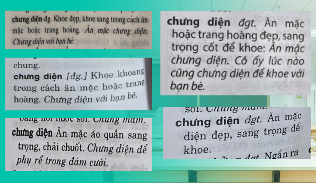 Tranh cãi lỗi chính tả “chưng diện” trong đề thi học sinh giỏi TPHCM - 3