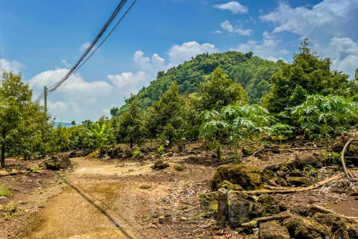 Cơn mưa tầm tả bất chợt xối xả hồi đêm khiến con đường mòn đất đỏ quánh đặc, nhiều đoạn bánh xe quay tít mù khét lẹt mà không nhích nổi một gang.