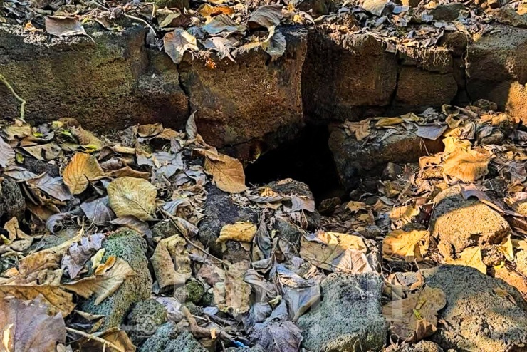 Mãi đến khi ánh nắng bắt đầu dịu, tôi mới phát hiện một khe nứt nhỏ dưới lớp cỏ dại, vết nứt khiêm nhường như kẽ hở thời gian.