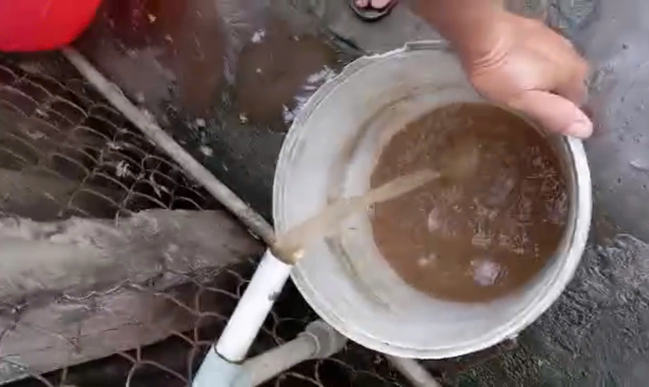 Nước sinh hoạt đục ngầu, gần 1.400 hộ dân ở Đồng Tháp sống trong lo lắng- Ảnh 3.