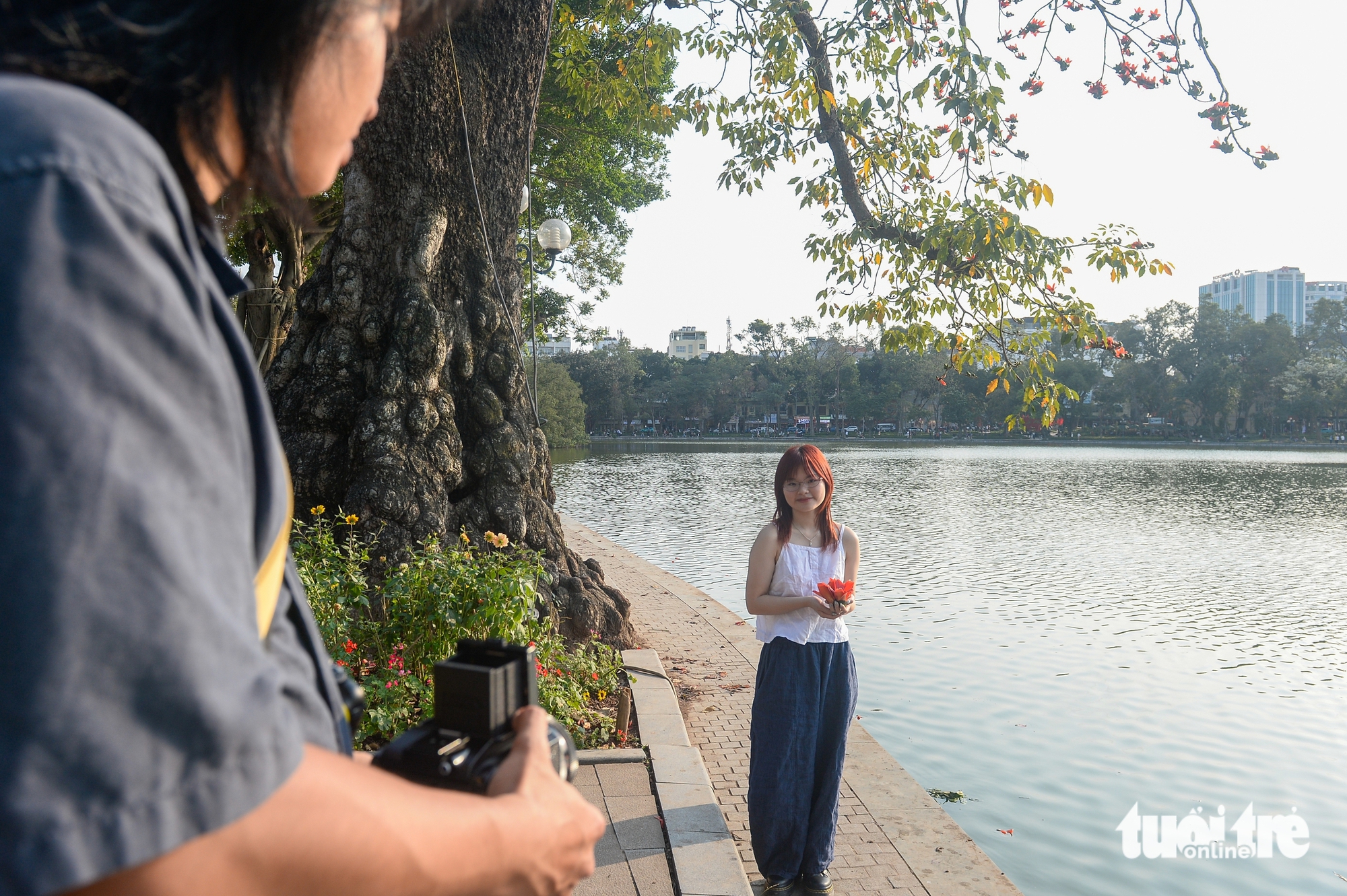 hoa gạo - Ảnh 9.