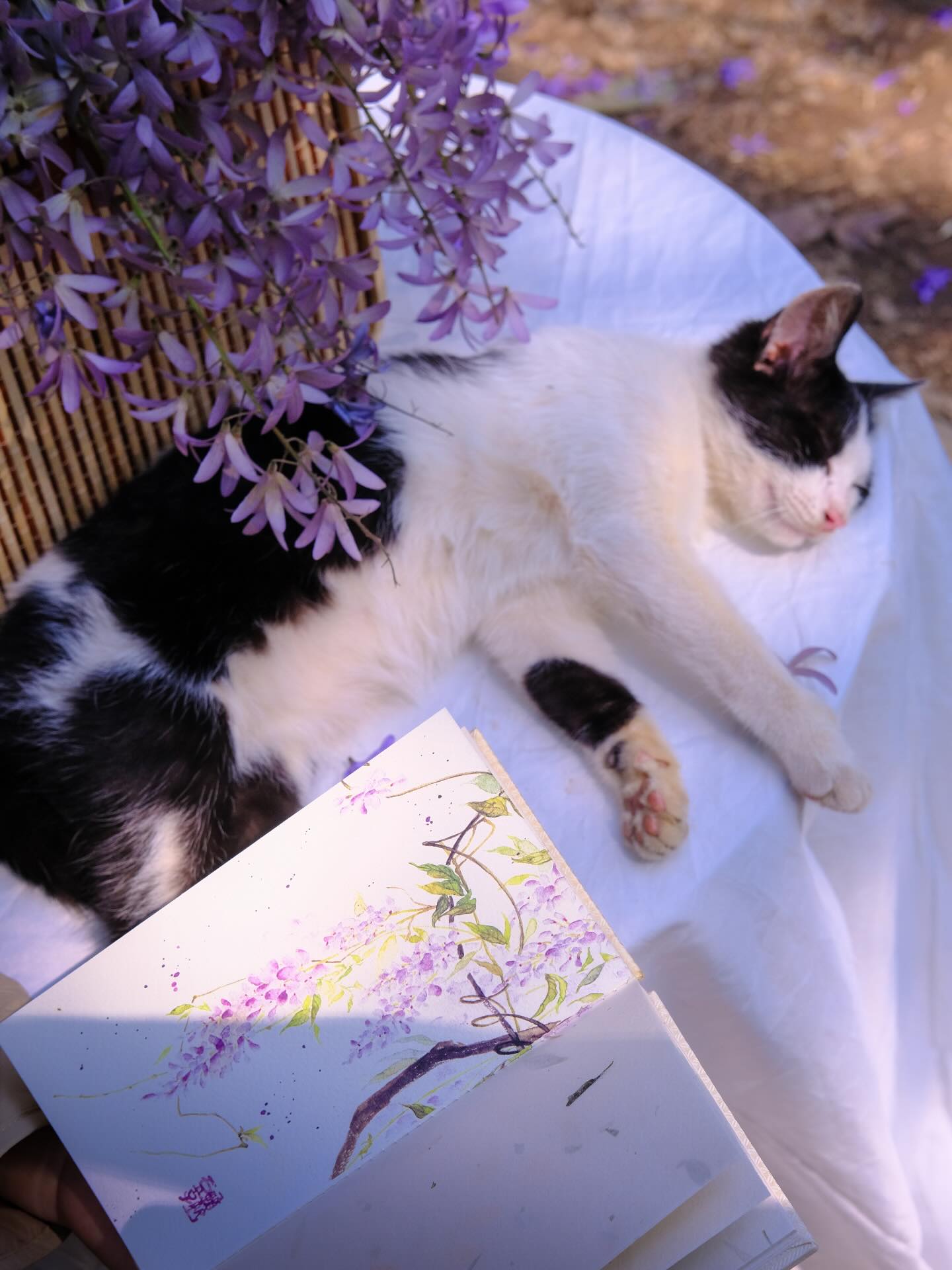 Không phải hoa sưa, cũng chẳng phải hoa ban trắng, tọa độ check in hoa mai xanh Thái đang được dân tình mê đắm- Ảnh 5.