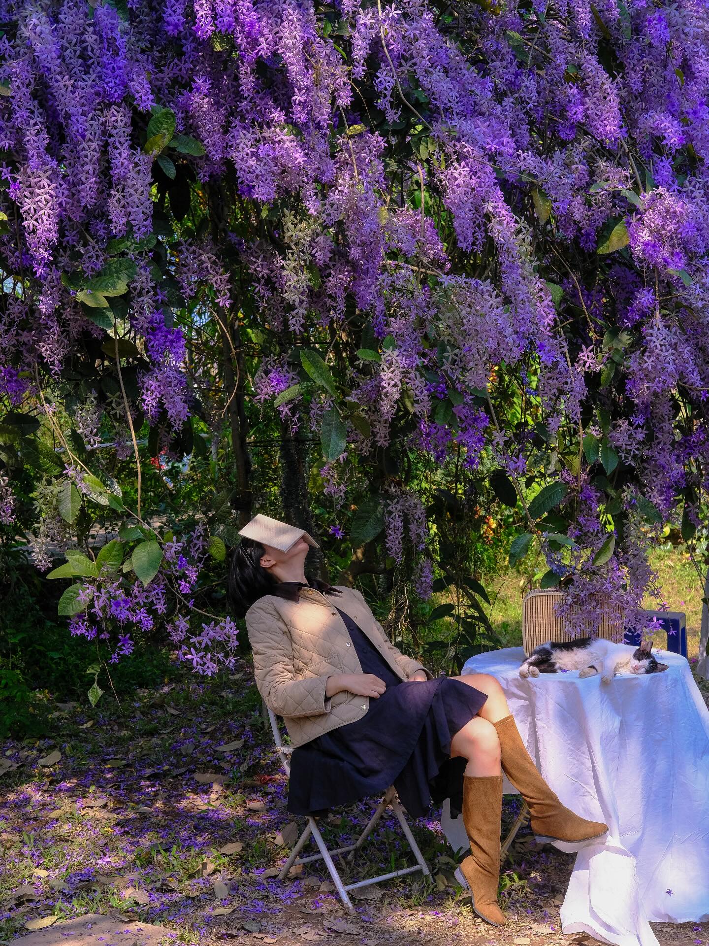 Không phải hoa sưa, cũng chẳng phải hoa ban trắng, tọa độ check in hoa mai xanh Thái đang được dân tình mê đắm- Ảnh 8.