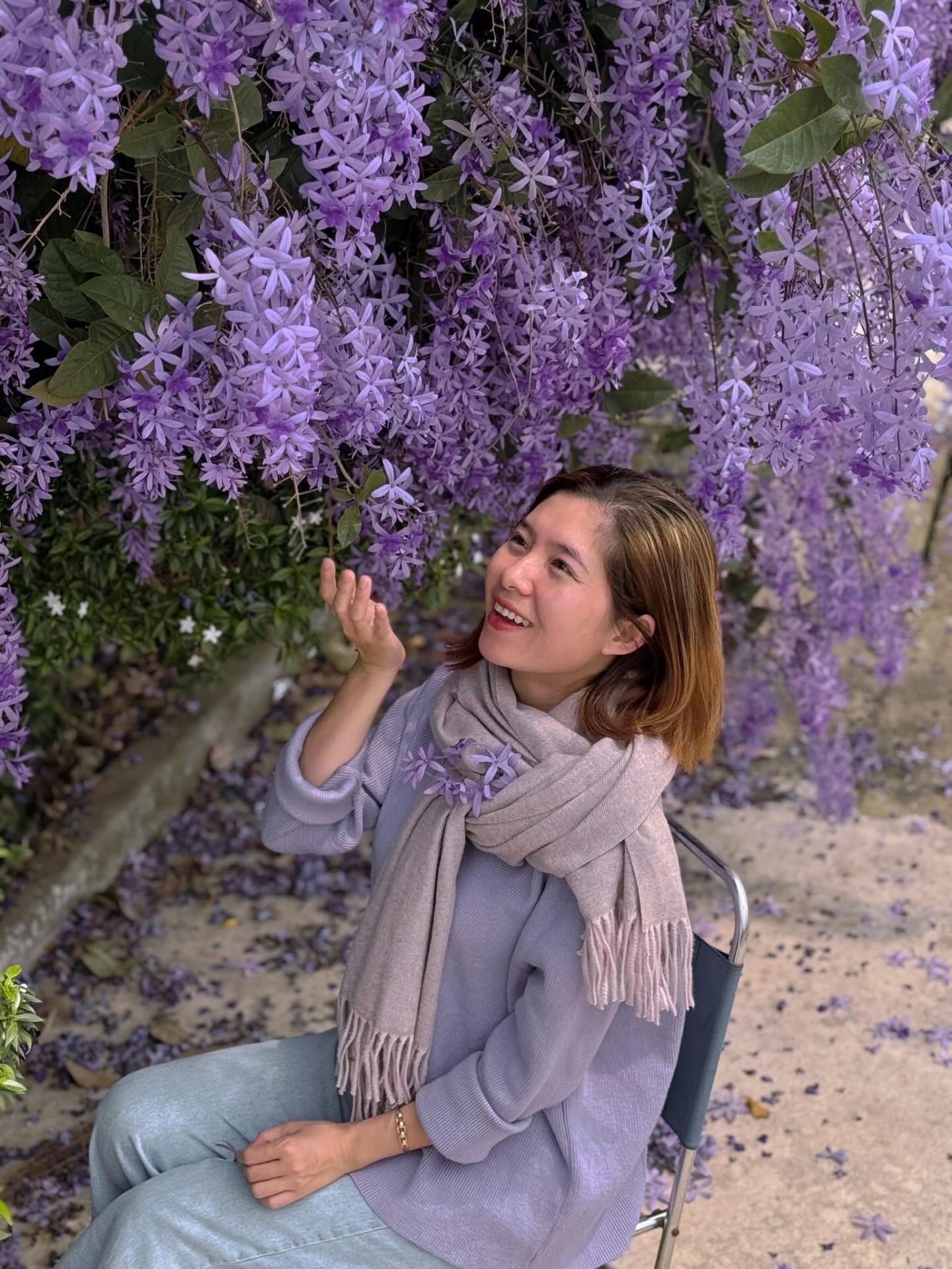 Không phải hoa sưa, cũng chẳng phải hoa ban trắng, tọa độ check in hoa mai xanh Thái đang được dân tình mê đắm- Ảnh 16.