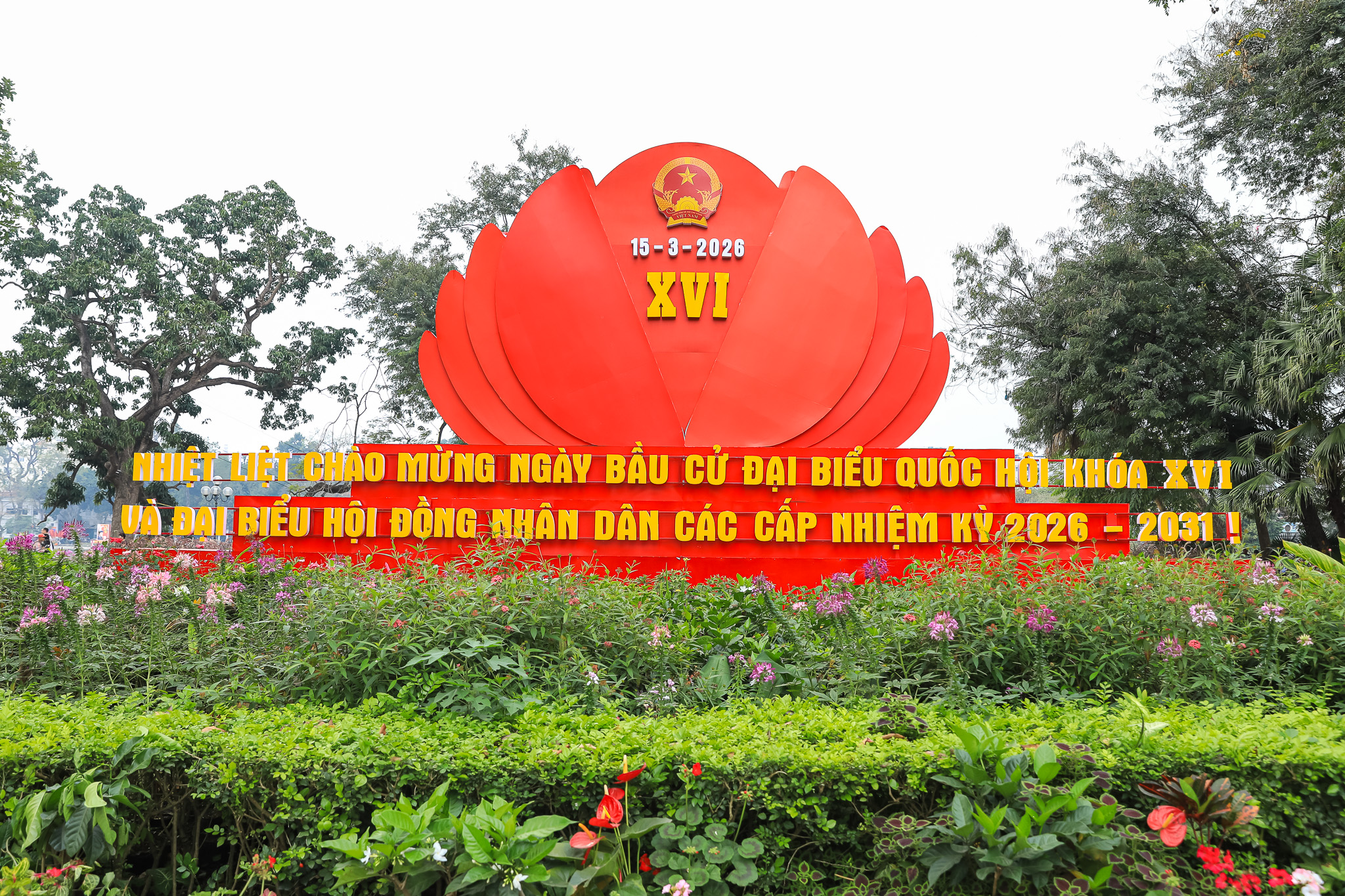 bầu cử - Ảnh 4.