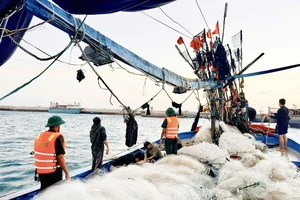 Cuộc điều phối thần tốc cứu 16 ngư dân trên 2 tàu cá trôi dạt gần đảo Phú Quý