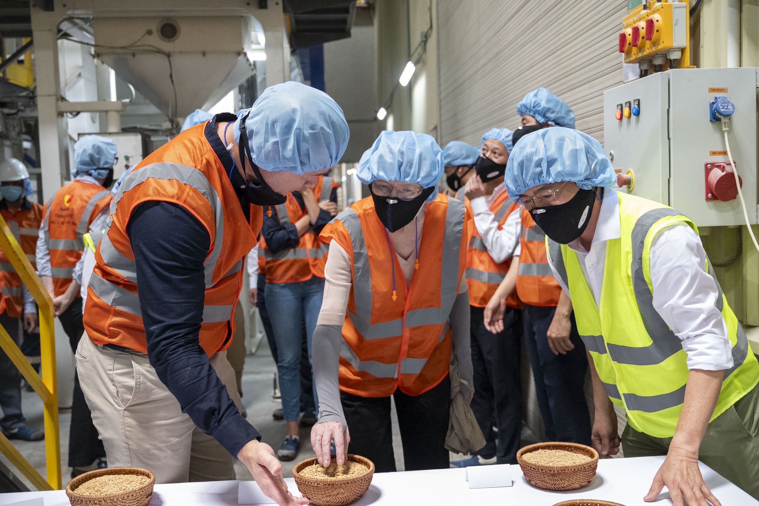 Trường đại học Úc 